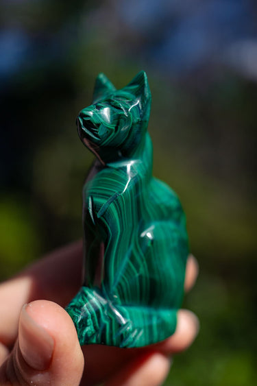 Malachite Cat